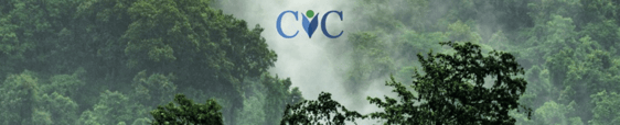banner-CIC